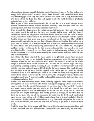 plumped-out plumage pencilled plainly on the illuminated screen. As they looked, the
sleepy little fellow stirred uneasily, woke, shook himself, and raised his head. They
could see the gape of his tiny beak as he yawned in a bored sort of way, looked round,
and then settled his head into his back again, while the ruffled feathers gradually
subsided into perfect stillness.
Then a gust of bitter wind took them in the back of the neck, a small sting of frozen
sleet on the skin woke them as from a dream, and they knew their toes to be cold and
their legs tired, and their own home distant a weary way.
Once beyond the village, where the cottages ceased abruptly, on either side of the road
they could smell through the darkness the friendly fields again; and they braced
themselves for the last long stretch, the home stretch, the stretch that we know is bound
to end, some time, in the rattle of the door-latch, the sudden firelight, and the sight of
familiar things greeting us as long-absent travellers from far over-sea. They plodded
along steadily and silently, each of them thinking his own thoughts. The Mole’s ran a
good deal on supper, as it was pitch-dark, and it was all a strange country for him as
far as he knew, and he was following obediently in the wake of the Rat, leaving the
guidance entirely to him. As for the Rat, he was walking a little way ahead, as his habit
was, his shoulders humped, his eyes fixed on the straight grey road in front of him; so
he did not notice poor Mole when suddenly the summons reached him, and took him
like an electric shock.
We others, who have long lost the more subtle of the physical senses, have not even
proper terms to express an animal’s inter-communications with his surroundings,
living or otherwise, and have only the word ‘smell,’ for instance, to include the whole
range of delicate thrills which murmur in the nose of the animal night and day,
summoning, warning, inciting, repelling. It was one of these mysterious fairy calls from
out the void that suddenly reached Mole in the darkness, making him tingle through
and through with its very familiar appeal, even while yet he could not clearly
remember what it was. He stopped dead in his tracks, his nose searching hither and
thither in its efforts to recapture the fine filament, the telegraphic current, that had so
strongly moved him. A moment, and he had caught it again; and with it this time came
recollection in fullest flood.
Home! That was what they meant, those caressing. appeals, those soft touches wafted
through the air, those invisible little hands pulling and tugging, all one way! Why, it
must be quite close by him at that moment, his old home that he had hurriedly forsaken
and never sought again, that day when he first found the river! And now it was
sending out its scouts and its messengers to capture him and bring him in. Since his
escape on that bright morning he had hardly given it a thought, so absorbed had he
been in his new life, in all its pleasures, its surprises, its fresh and captivating
experiences. Now, with a rush of old memories, how clearly it stood up before him, in
the darkness! Shabby indeed, and small and poorly furnished, and yet his, the home he
had made for himself, the home he had been so happy to get back to after his day’s
work.
And the home had been happy with him, too, evidently, and was missing him, and
wanted him back, and was telling him so, through his nose, sorrowfully, reproachfully,
 