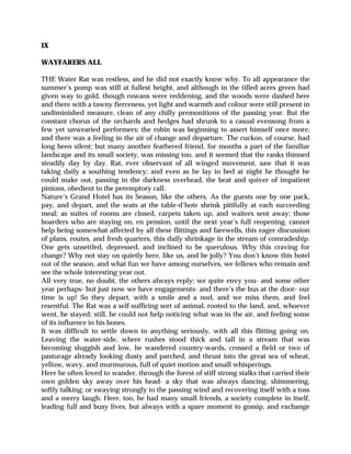 IX
WAYFARERS ALL
THE Water Rat was restless, and he did not exactly know why. To all appearance the
summer’s pomp was still at fullest height, and although in the tilled acres green had
given way to gold, though rowans were reddening, and the woods were dashed here
and there with a tawny fierceness, yet light and warmth and colour were still present in
undiminished measure, clean of any chilly premonitions of the passing year. But the
constant chorus of the orchards and hedges had shrunk to a casual evensong from a
few yet unwearied performers; the robin was beginning to assert himself once more;
and there was a feeling in the air of change and departure. The cuckoo, of course, had
long been silent; but many another feathered friend, for months a part of the familiar
landscape and its small society, was missing too, and it seemed that the ranks thinned
steadily day by day. Rat, ever observant of all winged movement, saw that it was
taking daily a southing tendency; and even as he lay in bed at night he thought he
could make out, passing in the darkness overhead, the beat and quiver of impatient
pinions, obedient to the peremptory call.
Nature’s Grand Hotel has its Season, like the others. As the guests one by one pack,
pay, and depart, and the seats at the table-d’hote shrink pitifully at each succeeding
meal; as suites of rooms are closed, carpets taken up, and waiters sent away; those
boarders who are staying on, en pension, until the next year’s full reopening, cannot
help being somewhat affected by all these flittings and farewells, this eager discussion
of plans, routes, and fresh quarters, this daily shrinkage in the stream of comradeship.
One gets unsettled, depressed, and inclined to be querulous. Why this craving for
change? Why not stay on quietly here, like us, and be jolly? You don’t know this hotel
out of the season, and what fun we have among ourselves, we fellows who remain and
see the whole interesting year out.
All very true, no doubt, the others always reply; we quite envy you- and some other
year perhaps- but just now we have engagements- and there’s the bus at the door- our
time is up! So they depart, with a smile and a nod, and we miss them, and feel
resentful. The Rat was a self-sufficing sort of animal, rooted to the land, and, whoever
went, he stayed; still, he could not help noticing what was in the air, and feeling some
of its influence in his bones.
It was difficult to settle down to anything seriously, with all this flitting going on.
Leaving the water-side, where rushes stood thick and tall in a stream that was
becoming sluggish and low, he wandered country-wards, crossed a field or two of
pasturage already looking dusty and parched, and thrust into the great sea of wheat,
yellow, wavy, and murmurous, full of quiet motion and small whisperings.
Here he often loved to wander, through the forest of stiff strong stalks that carried their
own golden sky away over his head- a sky that was always dancing, shimmering,
softly talking; or swaying strongly to the passing wind and recovering itself with a toss
and a merry laugh. Here, too, he had many small friends, a society complete in itself,
leading full and busy lives, but always with a spare moment to gossip, and exchange
 