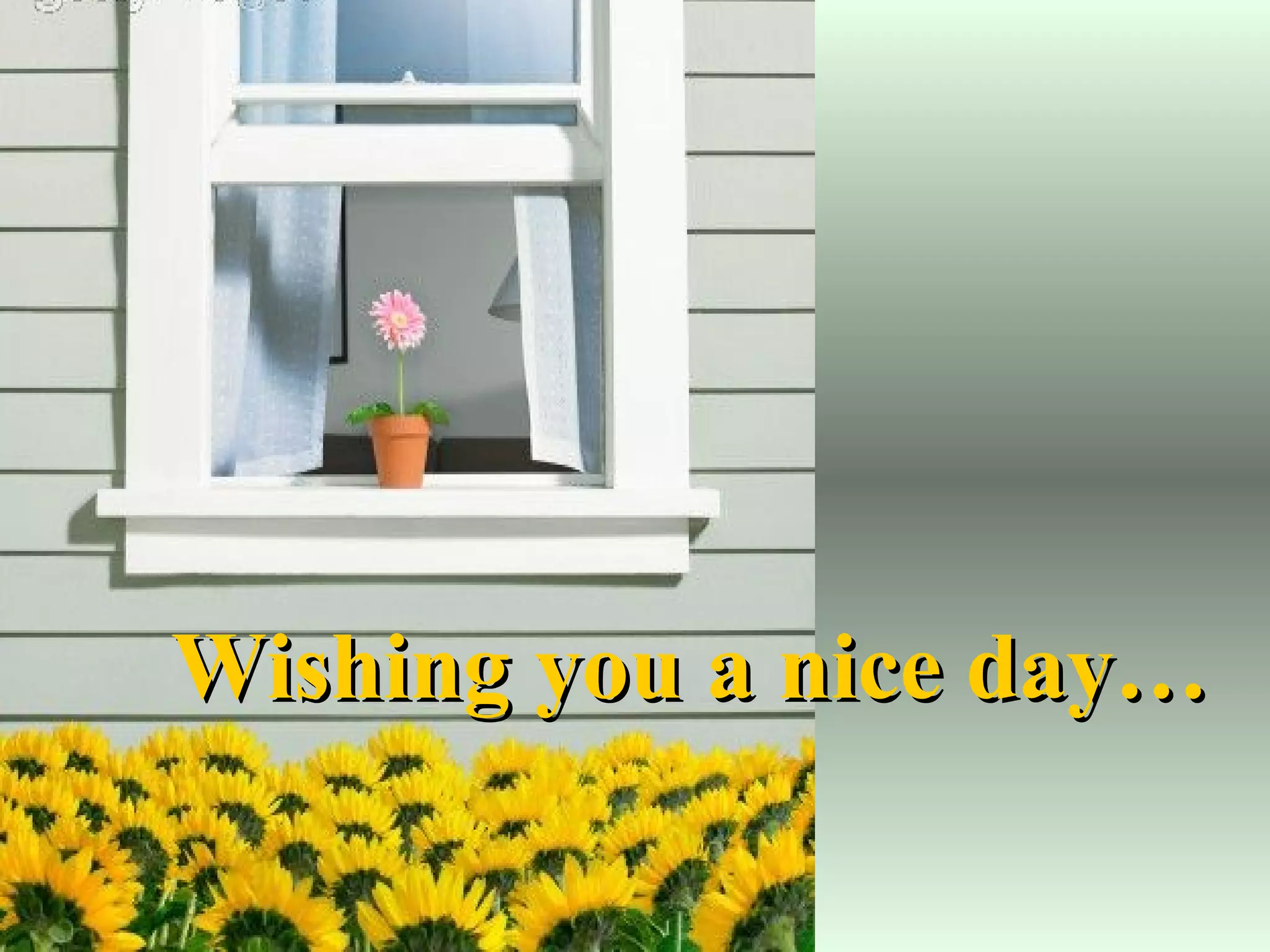 Wishing you a nice day… 