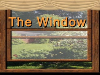 TheThe WindowWindow
 