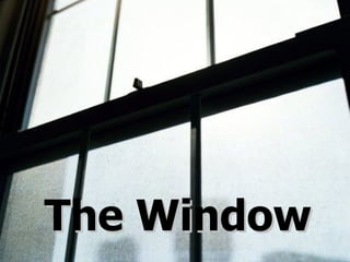 The Window 