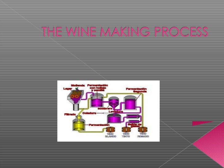 The wine making process