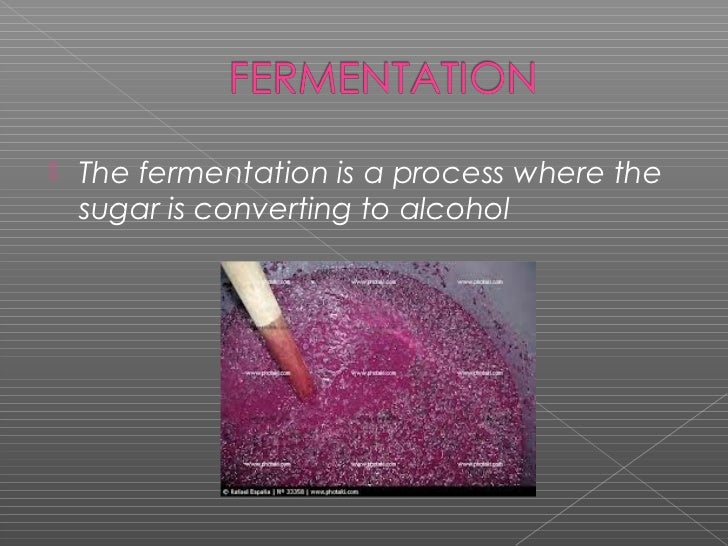 The wine making process