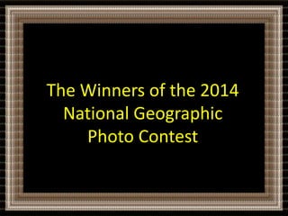 The Winners of the 2014
National Geographic
Photo Contest
 