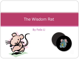 By Felix Li The Wisdom Rat  
