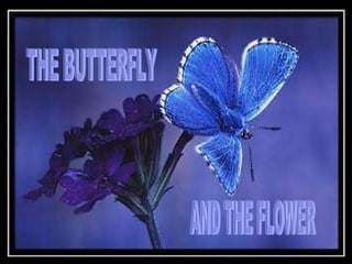THE BUTTERFLY AND THE FLOWER 