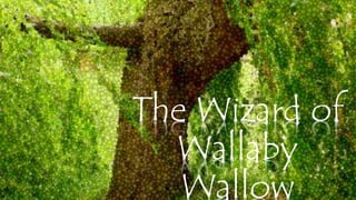 The Wizard of
Wallaby
Wallow
 