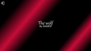 The wolf
By SIAMÉS
 