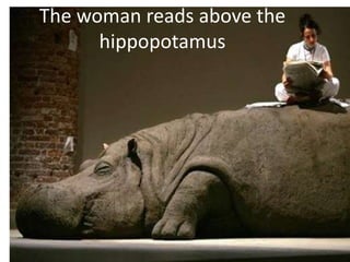 The woman reads above the hippopotamus 