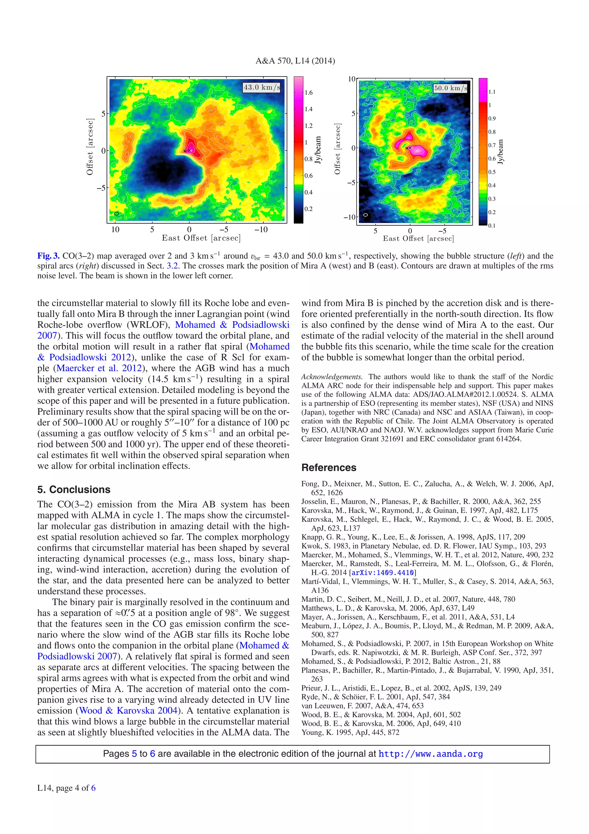 AA 570, L14 (2014) 
43.0 km/s 
East Offset [arcsec] 
Offset [arcsec] 
10 5 0 −5 −10 
5 
0 
−5 
Jy/beam 
1.6 
1.4 
1.2 
1 
0.8 
0.6 
0.4 
0.2 
50.0 km/s 
East Offset [arcsec] 
Offset [arcsec] 
5 0 −5 
10 
5 
0 
−5 
−10 
Jy/beam 
1.1 
1 
0.9 
0.8 
0.7 
0.6 
0.5 
0.4 
0.3 
0.2 
0.1 
Fig. 3. CO(3–2) map averaged over 2 and 3 km s−1 around vlsr = 43.0 and 50.0 kms−1, respectively, showing the bubble structure (left) and the 
spiral arcs (right) discussed in Sect. 3.2. The crosses mark the position of Mira A (west) and B (east). Contours are drawn at multiples of the rms 
noise level. The beam is shown in the lower left corner. 
the circumstellar material to slowly fill its Roche lobe and even-tually 
fall ontoMira B through the inner Lagrangian point (wind 
Roche-lobe overflow (WRLOF), Mohamed  Podsiadlowski 
2007). This will focus the outflow toward the orbital plane, and 
the orbital motion will result in a rather flat spiral (Mohamed 
 Podsiadlowski 2012), unlike the case of R Scl for exam-ple 
(Maercker et al. 2012), where the AGB wind has a much 
higher expansion velocity (14.5 kms−1) resulting in a spiral 
with greater vertical extension. Detailed modeling is beyond the 
scope of this paper and will be presented in a future publication. 
Preliminary results show that the spiral spacing will be on the or-der 
of 500–1000 AU or roughly 5–10 for a distance of 100 pc 
(assuming a gas outflow velocity of 5 kms−1 and an orbital pe-riod 
between 500 and 1000 yr). The upper end of these theoreti-cal 
estimates fit well within the observed spiral separation when 
we allow for orbital inclination effects. 
5. Conclusions 
The CO(3–2) emission from the Mira AB system has been 
mapped with ALMA in cycle 1. The maps show the circumstel-lar 
molecular gas distribution in amazing detail with the high-est 
spatial resolution achieved so far. The complex morphology 
confirms that circumstellar material has been shaped by several 
interacting dynamical processes (e.g., mass loss, binary shap-ing, 
wind-wind interaction, accretion) during the evolution of 
the star, and the data presented here can be analyzed to better 
understand these processes. 
The binary pair is marginally resolved in the continuum and 
has a separation of ≈0. 5 at a position angle of 98◦. We suggest 
that the features seen in the CO gas emission confirm the sce-nario 
where the slow wind of the AGB star fills its Roche lobe 
and flows onto the companion in the orbital plane (Mohamed  
Podsiadlowski 2007). A relatively flat spiral is formed and seen 
as separate arcs at different velocities. The spacing between the 
spiral arms agrees with what is expected from the orbit and wind 
properties of Mira A. The accretion of material onto the com-panion 
gives rise to a varying wind already detected in UV line 
emission (Wood  Karovska 2004). A tentative explanation is 
that this wind blows a large bubble in the circumstellar material 
as seen at slightly blueshifted velocities in the ALMA data. The 
wind from Mira B is pinched by the accretion disk and is there-fore 
oriented preferentially in the north-south direction. Its flow 
is also confined by the dense wind of Mira A to the east. Our 
estimate of the radial velocity of the material in the shell around 
the bubble fits this scenario, while the time scale for the creation 
of the bubble is somewhat longer than the orbital period. 
Acknowledgements. The authors would like to thank the staff of the Nordic 
ALMA ARC node for their indispensable help and support. This paper makes 
use of the following ALMA data: ADS/JAO.ALMA#2012.1.00524. S. ALMA 
is a partnership of ESO (representing its member states), NSF (USA) and NINS 
(Japan), together with NRC (Canada) and NSC and ASIAA (Taiwan), in coop-eration 
with the Republic of Chile. The Joint ALMA Observatory is operated 
by ESO, AUI/NRAO and NAOJ. W.V. acknowledges support from Marie Curie 
Career Integration Grant 321691 and ERC consolidator grant 614264. 
References 
Fong, D., Meixner, M., Sutton, E. C., Zalucha, A.,  Welch, W. J. 2006, ApJ, 
652, 1626 
Josselin, E., Mauron, N., Planesas, P.,  Bachiller, R. 2000, AA, 362, 255 
Karovska, M., Hack, W., Raymond, J.,  Guinan, E. 1997, ApJ, 482, L175 
Karovska, M., Schlegel, E., Hack, W., Raymond, J. C.,  Wood, B. E. 2005, 
ApJ, 623, L137 
Knapp, G. R., Young, K., Lee, E.,  Jorissen, A. 1998, ApJS, 117, 209 
Kwok, S. 1983, in Planetary Nebulae, ed. D. R. Flower, IAU Symp., 103, 293 
Maercker, M., Mohamed, S., Vlemmings, W. H. T., et al. 2012, Nature, 490, 232 
Maercker, M., Ramstedt, S., Leal-Ferreira, M. M. L., Olofsson, G.,  Florén, 
H.-G. 2014 [arXiv:1409.4410] 
Martí-Vidal, I., Vlemmings, W. H. T., Muller, S.,  Casey, S. 2014, AA, 563, 
A136 
Martin, D. C., Seibert, M., Neill, J. D., et al. 2007, Nature, 448, 780 
Matthews, L. D.,  Karovska, M. 2006, ApJ, 637, L49 
Mayer, A., Jorissen, A., Kerschbaum, F., et al. 2011, AA, 531, L4 
Meaburn, J., López, J. A., Boumis, P., Lloyd, M.,  Redman, M. P. 2009, AA, 
500, 827 
Mohamed, S.,  Podsiadlowski, P. 2007, in 15th European Workshop on White 
Dwarfs, eds. R. Napiwotzki,  M. R. Burleigh, ASP Conf. Ser., 372, 397 
Mohamed, S.,  Podsiadlowski, P. 2012, Baltic Astron., 21, 88 
Planesas, P., Bachiller, R., Martin-Pintado, J.,  Bujarrabal, V. 1990, ApJ, 351, 
263 
Prieur, J. L., Aristidi, E., Lopez, B., et al. 2002, ApJS, 139, 249 
Ryde, N.,  Schöier, F. L. 2001, ApJ, 547, 384 
van Leeuwen, F. 2007, AA, 474, 653 
Wood, B. E.,  Karovska, M. 2004, ApJ, 601, 502 
Wood, B. E.,  Karovska, M. 2006, ApJ, 649, 410 
Young, K. 1995, ApJ, 445, 872 
Pages 5 to 6 are available in the electronic edition of the journal at http://www.aanda.org 
L14, page 4 of 6 
 
