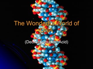 The Wonderful World of DNA (Deoxyribonucleic Acid) 