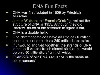 The wonderful world of dna | PPT