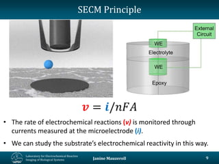 The Wonderful World of Scanning Electrochemical Microscopy (SECM)