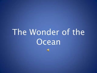 The Wonder of the
     Ocean
 
