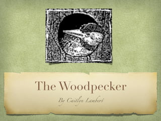 The Woodpecker
   By Caitlyn Lambe!
 