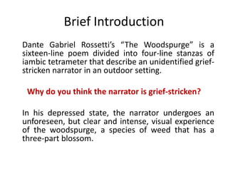 Brief Introduction
Dante Gabriel Rossetti’s “The Woodspurge” is a
sixteen-line poem divided into four-line stanzas of
iambic tetrameter that describe an unidentified grief-
stricken narrator in an outdoor setting.
Why do you think the narrator is grief-stricken?
In his depressed state, the narrator undergoes an
unforeseen, but clear and intense, visual experience
of the woodspurge, a species of weed that has a
three-part blossom.
 