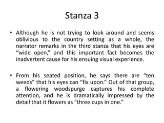 Stanza 3
• Although he is not trying to look around and seems
oblivious to the country setting as a whole, the
narrator remarks in the third stanza that his eyes are
“wide open,” and this important fact becomes the
inadvertent cause for his ensuing visual experience.
• From his seated position, he says there are “ten
weeds” that his eyes can “fix upon.” Out of that group,
a flowering woodspurge captures his complete
attention, and he is dramatically impressed by the
detail that it flowers as “three cups in one.”
 