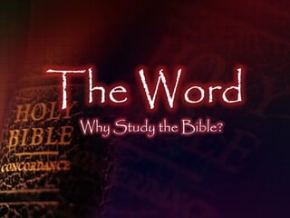 The Word
 Why Study the Bible?
 