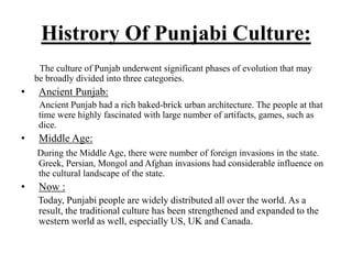 Punjabi language visual data 7