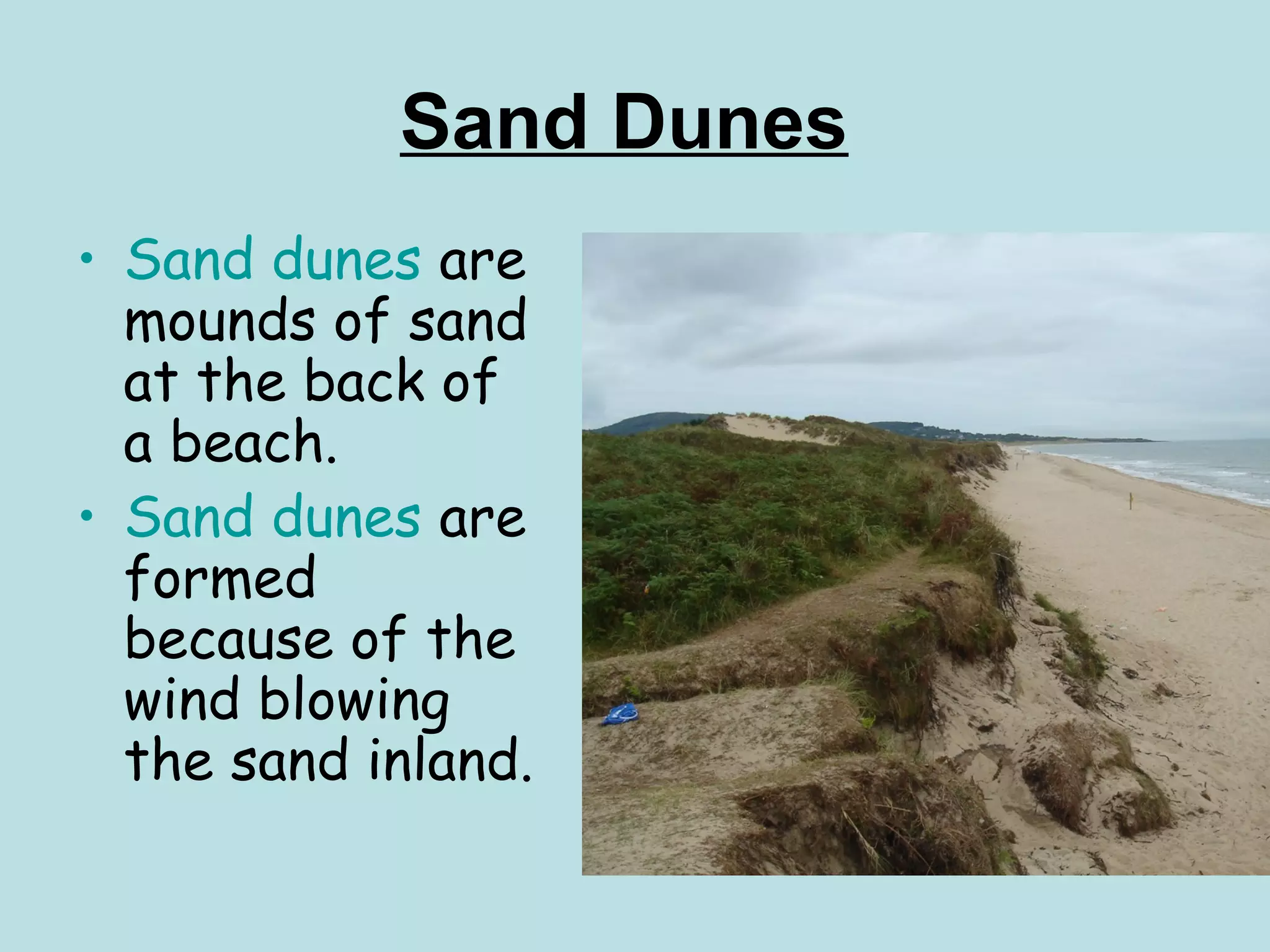 Sand Dunes
• Sand dunes are
mounds of sand
at the back of
a beach.
• Sand dunes are
formed
because of the
wind blowing
the sand inland.
 