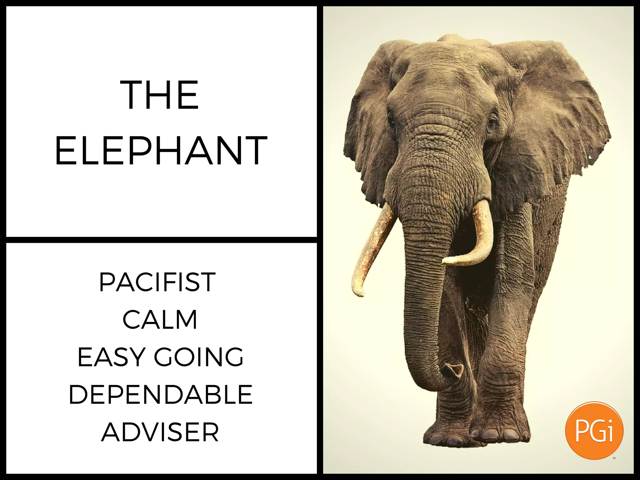 THE
ELEPHANT
PACIFIST
CALM
EASY GOING
DEPENDABLE
ADVISER
 