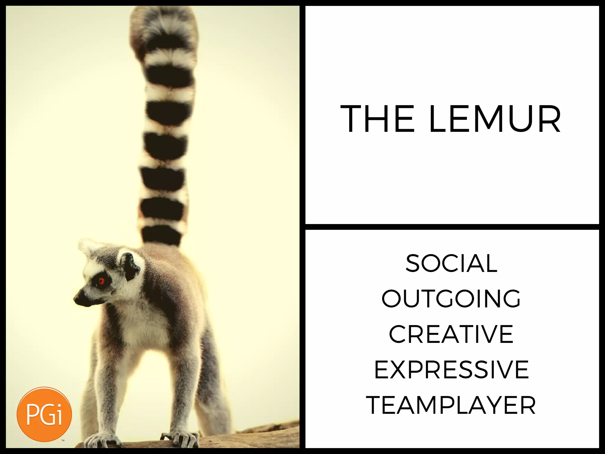 THE LEMUR
SOCIAL
OUTGOING
CREATIVE
EXPRESSIVE
TEAM PLAYER
 