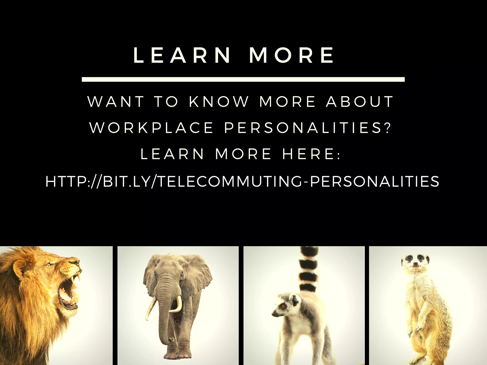 L E A R N M O R E
WANT TO KNOW MORE ABOUT
WORKPLACE PERSONALITIES?
LEARN MORE HERE:
BIT.LY/TELECOMMUTING-PERSONALITIES
 