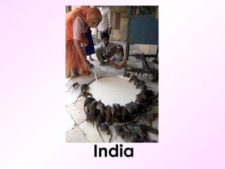 India