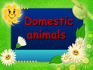 DomesticDomestic
animalsanimals
 