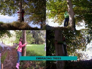 EMBRACING TREES 
