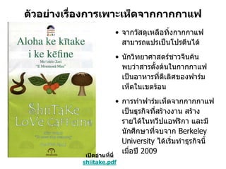 ตัวอยางเรื่องการเพาะเห็ดจากกากกาแฟ
                       • จากวัสดุเหลือทิ้งกากกาแฟ
                         สามารถแปรเปนโปรตีนได
                       • นักวิทยาศาสตรชาวจีนคน
                         พบวาสารตังตนในกากกาแฟ
                                   ้
                         เปนอาหารที่ดีเลิศของฟารม
                         เห็ดในเขตรอน
                           • การทําฟารมเห็ดจากกากกาแฟ
                             เปนธุรกิจที่สรางงาน สราง
                             รายไดในทวีปแอฟริกา และมี
                             นักศึกษาที่จบจาก Berkeley
                             University ไดเริ่มทําธุรกิจนี้
            เปดอานที่นี่
                             เมื่อป 2009
           shiitake.pdf
 