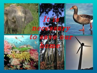 It is necessary to save our home  