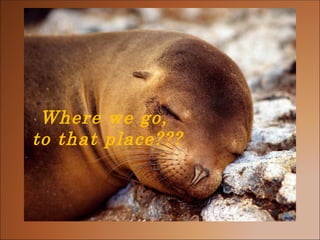Where we go,  to that place??? 