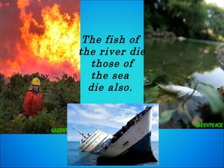 The fish of  the river die those of  the sea  die also.  