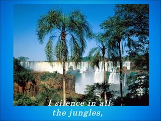 I silence in all the jungles,  