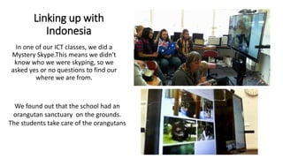 Linking up with
Indonesia
In one of our ICT classes, we did a
Mystery Skype.This means we didn't
know who we were skyping, so we
asked yes or no questions to find our
where we are from.
We found out that the school had an
orangutan sanctuary on the grounds.
The students take care of the orangutans
 