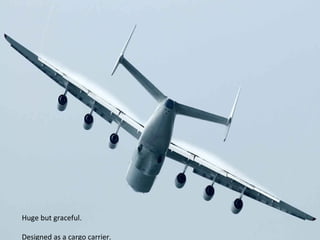 Huge but graceful. 
Designed as a cargo carrier. 
 