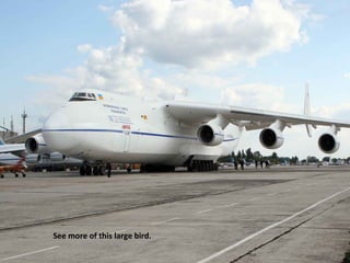 See more of this large bird. 
 