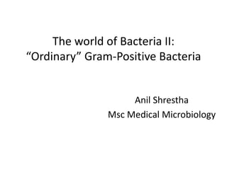 The world of Bacteria II:
“Ordinary” Gram-Positive Bacteria
Anil Shrestha
Msc Medical Microbiology
 