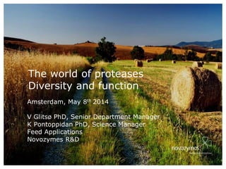 Amsterdam, May 8th 2014
V Glitsø PhD, Senior Department Manager
K Pontoppidan PhD, Science Manager
Feed Applications
Novozymes R&D
The world of proteases
Diversity and function
 