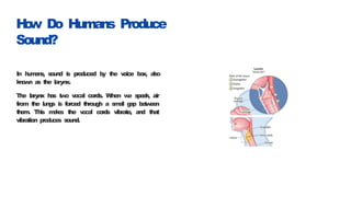 Sounds Humans Make The World of Sound - Class 8 Physics.pptx