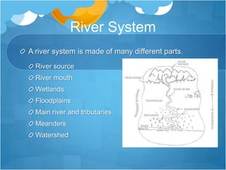 River SystemA river system is made of many different parts.River sourceRiver mouthWetlandsFloodplainsMain river and tributaries MeandersWatershed