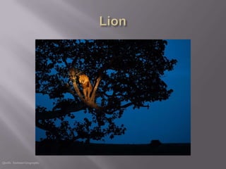 Quelle: National Geographic
 