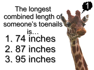Longest Length The Worlds Longest | PPT