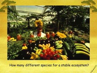 How many different species for a stable ecosystem? 