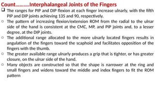 Pip Rom The Wrist and Hand Complex.pptx. comprehensive anatomy and functions | PPTX