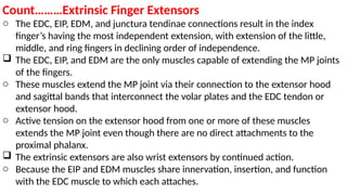 The Wrist and Hand Complex.pptx. comprehensive anatomy and functions | PPTX