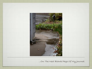 ...On The Next Blank Page Of My Journal
 