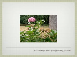 ...On The Next Blank Page Of My Journal
 