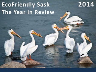 EcoFriendly Sask 2014
The Year in Review
 